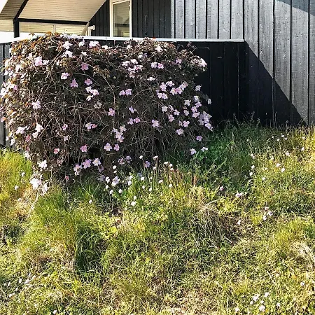 Holiday home 5 Person In Bl Vand *