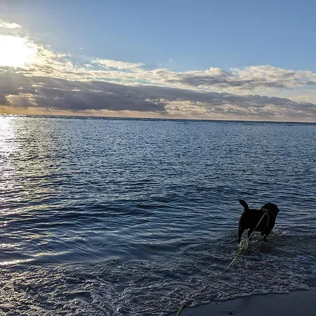 Casa vacanze 5 Person In Blavand-by Traum *