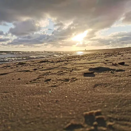 Casa vacanze 5 Person In Blavand-by Traum